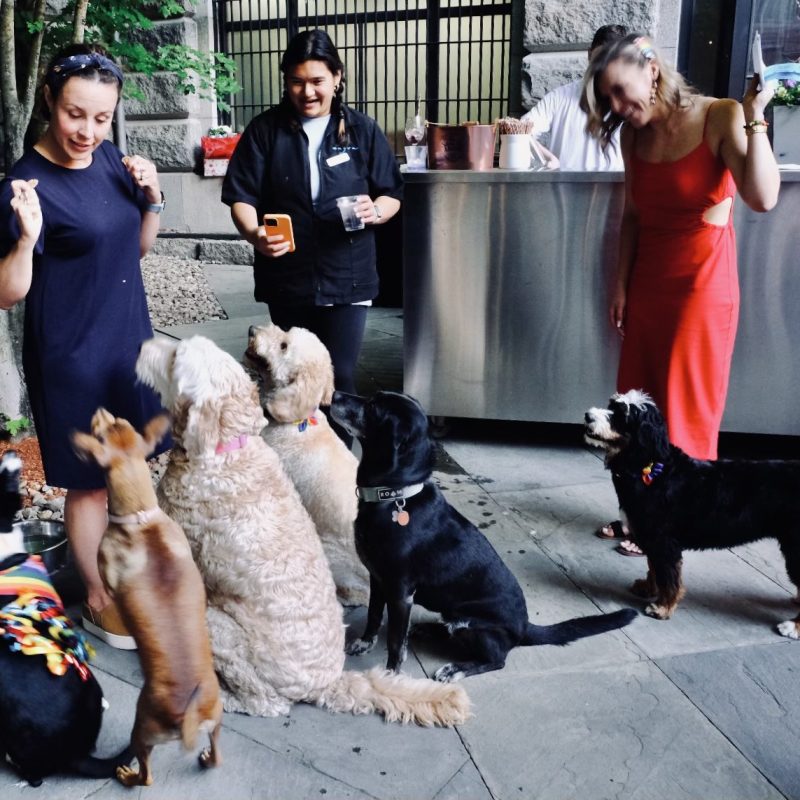 Yappier Hour at Liberty Hotel Boston