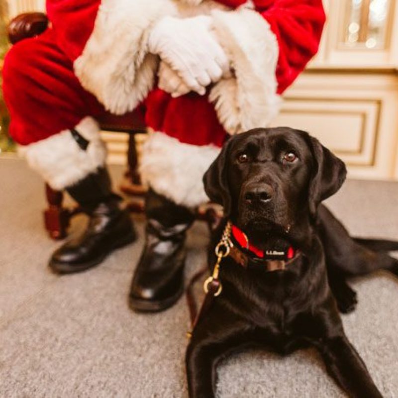 Cori Copley posing with Santa by Mark Davidson Photography