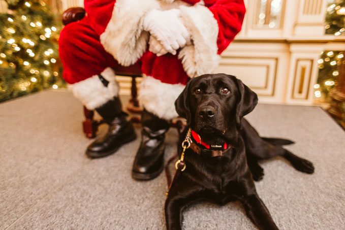 Mark-Davidson-Photography-1 Cori Copley posing with Santa by Mark Davidson Photography