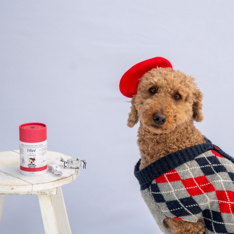 PAW de la Crème bison bonbon treats and a dog dressed in a French fashion.