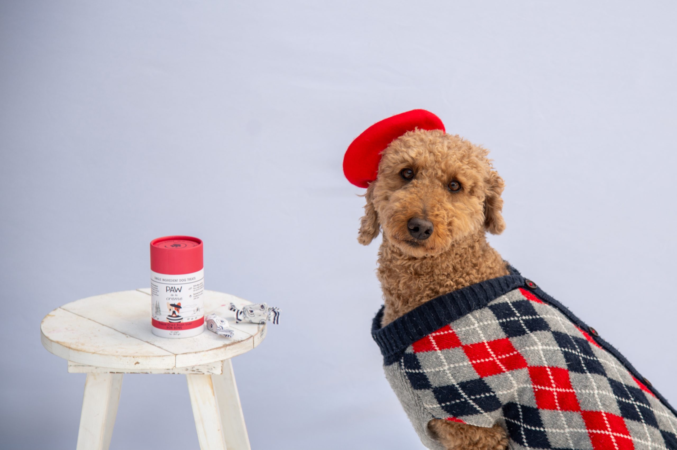 PAW de la Crème bison bonbon treats and a dog dressed in a French fashion.